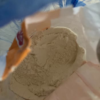 Aldığım Unun İçinden Böcek Çıkması Ve Tekrarlayan Sorun