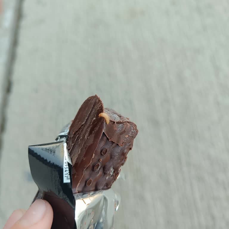 Aldığım Çikolatadan Böcek Çıkmasıyla Yaşadığım Hayal Kırıklığı