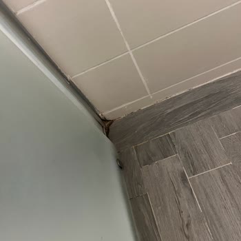 Kötü Temizlik, Hijyen Sorunları Ve İlgisiz Yönetim Nedeniyle Ücret İadesi Talebi