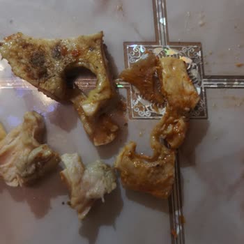 Yemeksepeti Ve Öncü Döner'den Sürekli Kalitesiz Ürün Ve Yetersiz Müşteri Hizmeti