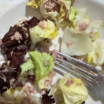 Ton Balığında Çıkan Saçlar Hijyen Ve Güven Sorununa Yol Açtı