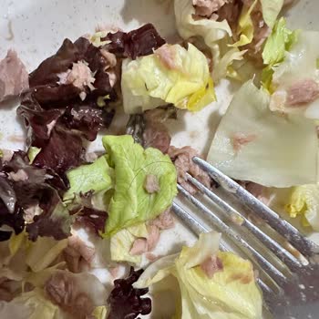 Ton Balığında Çıkan Saçlar Hijyen Ve Güven Sorununa Yol Açtı