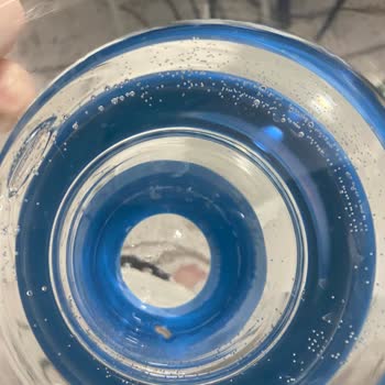 Aldığım Suyun İçinde Canlı Kurt Çıktı Çocuğuma İçirdim Endişeliyim