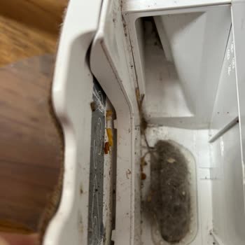 Beş Aylık Robot Süpürgede Bitmeyen Arızalar Ve Çözülmeyen Sorunlar