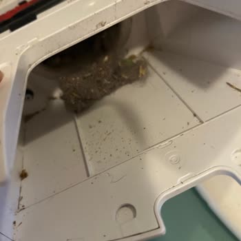 Beş Aylık Robot Süpürgede Bitmeyen Arızalar Ve Çözülmeyen Sorunlar