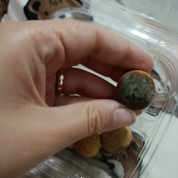 Bozuk Ve Çürük Ürünler, İlgisiz Müşteri Hizmetleri