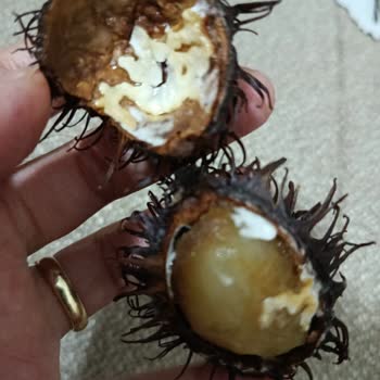 Bozuk Ve Çürük Ürünler, İlgisiz Müşteri Hizmetleri