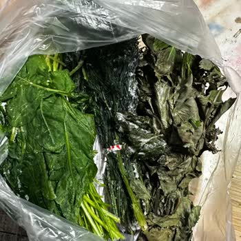 Siemens Buzdolabı Yiyecekleri Donduruyor Servis Çözüm Sunmuyor