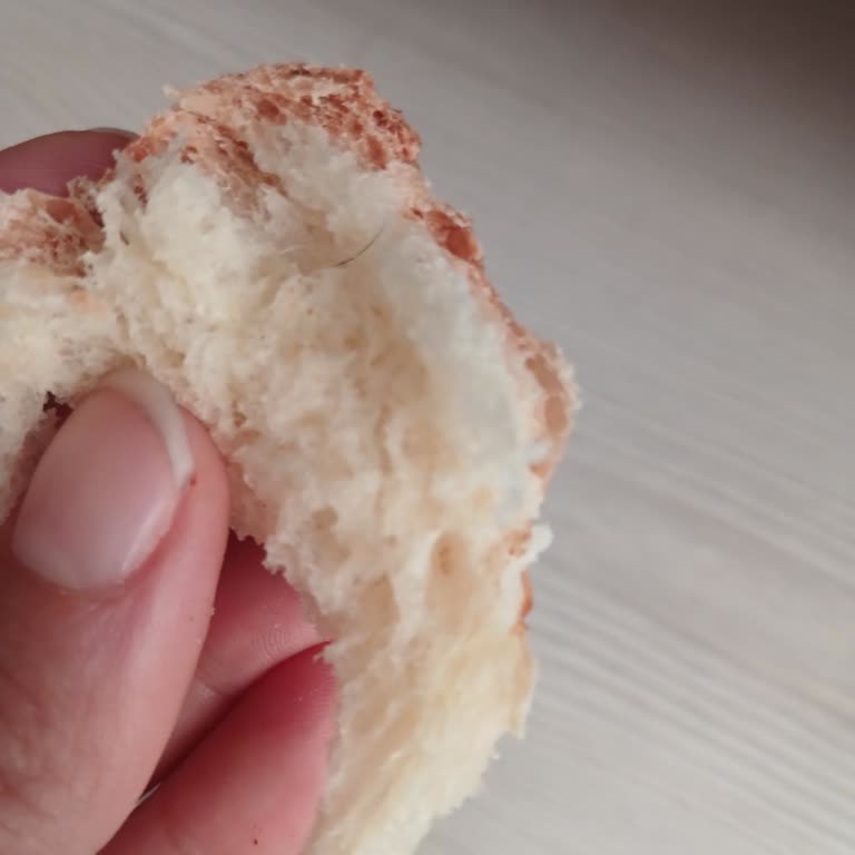 Aldığım Açmadan Kıl Çıktı, Mağduriyetimin Giderilmesini Talep Ediyorum