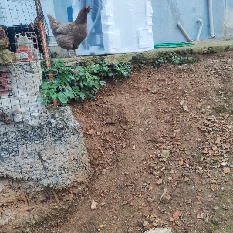 Horoz Lojistik Beyaz Eşya Teslimatında Kata Çıkarma Hizmeti Eksik Sunuldu