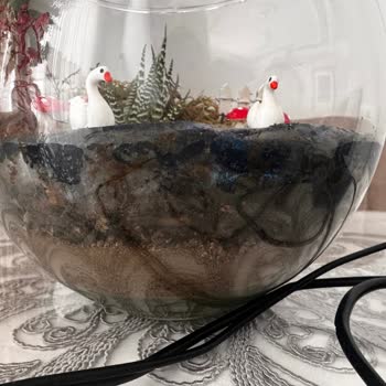 Hediye Çiçeğin Beklentileri Karşılamaması Ve İlgisiz Müşteri Hizmeti