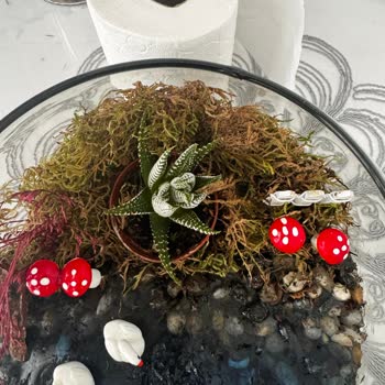 Hediye Çiçeğin Beklentileri Karşılamaması Ve İlgisiz Müşteri Hizmeti