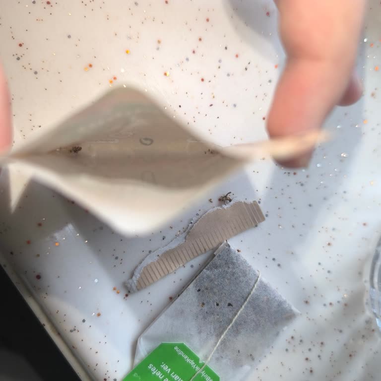 Doğadan Kurtlanmış Bitki Çayı Nedeniyle Hayal Kırıklığı