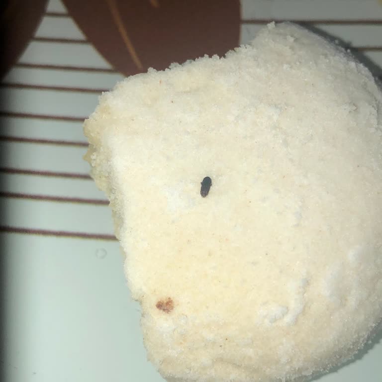 Şok Marketten Aldığım Kurabiyeden Böcek Çıktı!