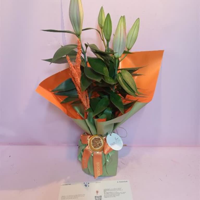 Taze Çiçek | Tazecicek.com Sipariş Edilen Çiçek Beklentileri Karşılamadı