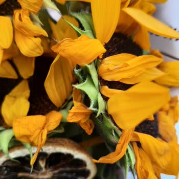 Küflenmiş Ve Bayat Çiçek Teslimatı Nedeniyle Yaşanan Hayal Kırıklığı