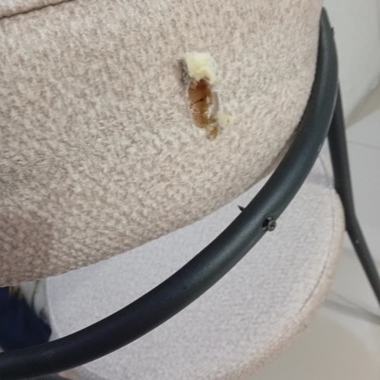 Yeni Alınan Masa Sandalye Ve Süpürgede Kısa Sürede Ciddi Kalite Sorunları Yaşadım