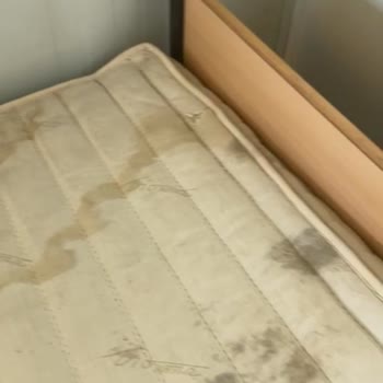 Gedu Yurt Dışı Eğitim Yanıltıcı Tanıtım Ve Destek Eksikliği Nedeniyle Mağduriyet Yaşadım