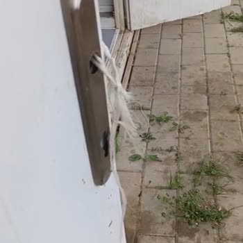 Gedu Yurt Dışı Eğitim Yanıltıcı Tanıtım Ve Destek Eksikliği Nedeniyle Mağduriyet Yaşadım