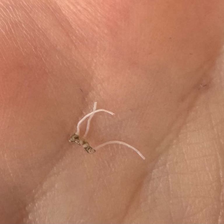 Bisküvi Ürününde Yabancı Madde Tespiti ve Güven Sorunu