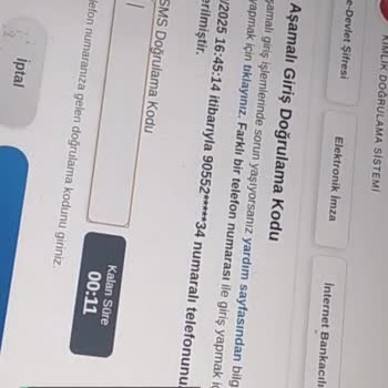E-Devlet | Turkiye.gov.tr'ye Girmiyorum