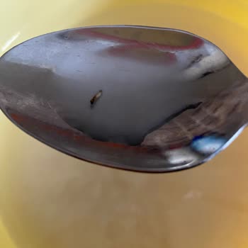 Aldığım Pirincin İçinden Kurt Çıktı, Mağazaya Taşımak Mağduriyet Yarattı