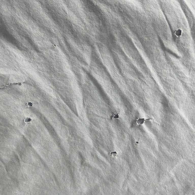 Islak Teslim Edilen Halılar, Kimyasal Şüphesi Ve Yetersiz Müşteri Hizmeti