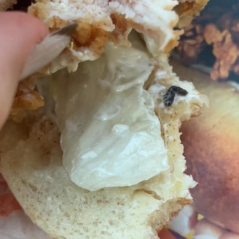 Yemek Siparişimden Kurt Çıktı Çalışanlar Çözüm Sunmadı