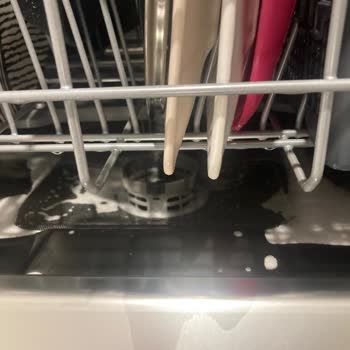 Arızalı Bulaşık Makinesi Serisiyle Mağduriyet Ve Çözüm Beklentisi