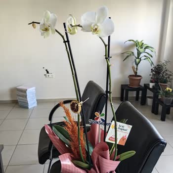 Çiçek Sepeti'nden Eksik Ve Yanlış Orkide Teslimatı Mağduriyeti