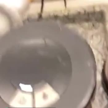 Schafer Kahvecim Makinesi Sürekli Ötüyor, Kahve Yapamıyorum