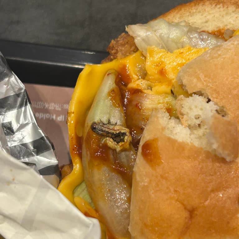 Arby's Maltepe Piazza Şubesinde Siparişimde Böcek Çıkması Ve İade Sorunu