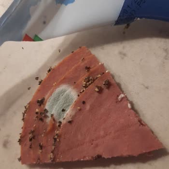 Aynı Gün İki Farklı Üründe Küf Problemiyle Karşılaştım Hijyen Konusunda Endişeliyim