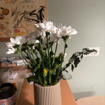 Eksik Ve Solmuş Çiçek Teslimatı, Tekrarlayan Sorun!