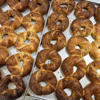 Eşit Pişirmeyen Fırın Ve Kapanmayan Kapak Sorunu Çözülmüyor