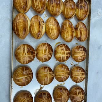 Eşit Pişirmeyen Fırın Ve Kapanmayan Kapak Sorunu Çözülmüyor