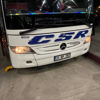 Otobüs Yolculuğunda Kedinin Bagajda Taşınması Ve Personel Davranışı