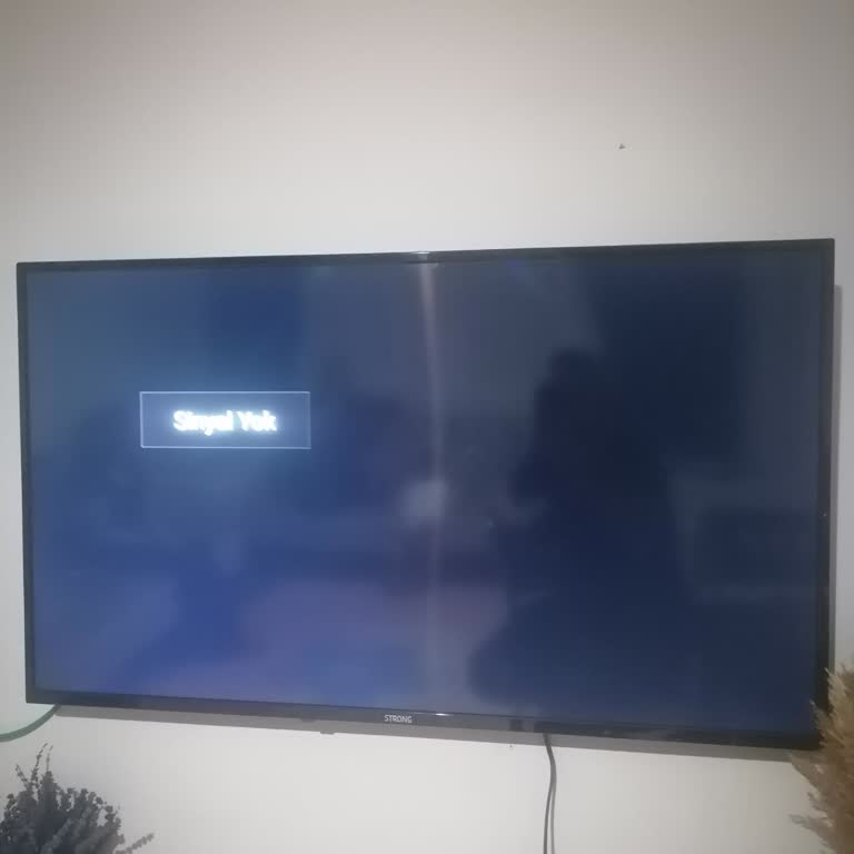 Televizyonumda Sürekli Sinyal Yok Hatası Ve Müşteri Hizmetlerine Ulaşamama Sorunu