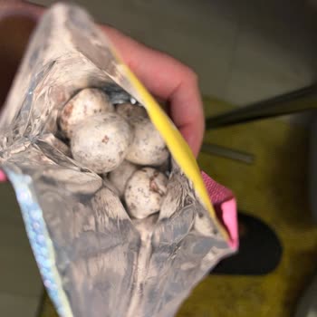 Bozuk Ülker Çikolata Draje Sağlığımı Tehlikeye Attı Ve Hayal Kırıklığı Yaşadım