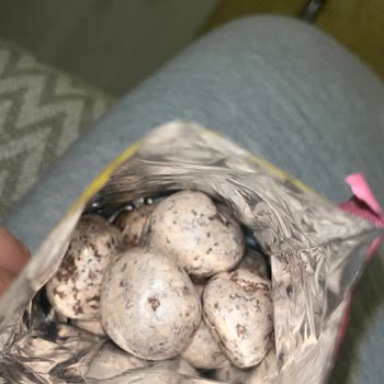 Bozuk Ülker Çikolata Draje Sağlığımı Tehlikeye Attı Ve Hayal Kırıklığı Yaşadım