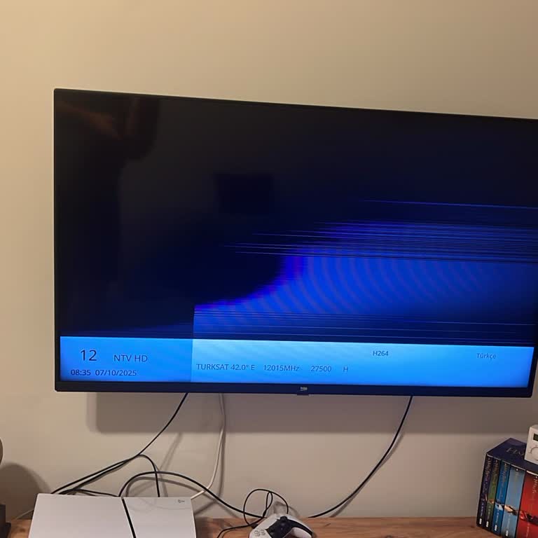 Beko TV’de Kronik Ekran Sorunu: Garanti Biter Bitmez Arıza!