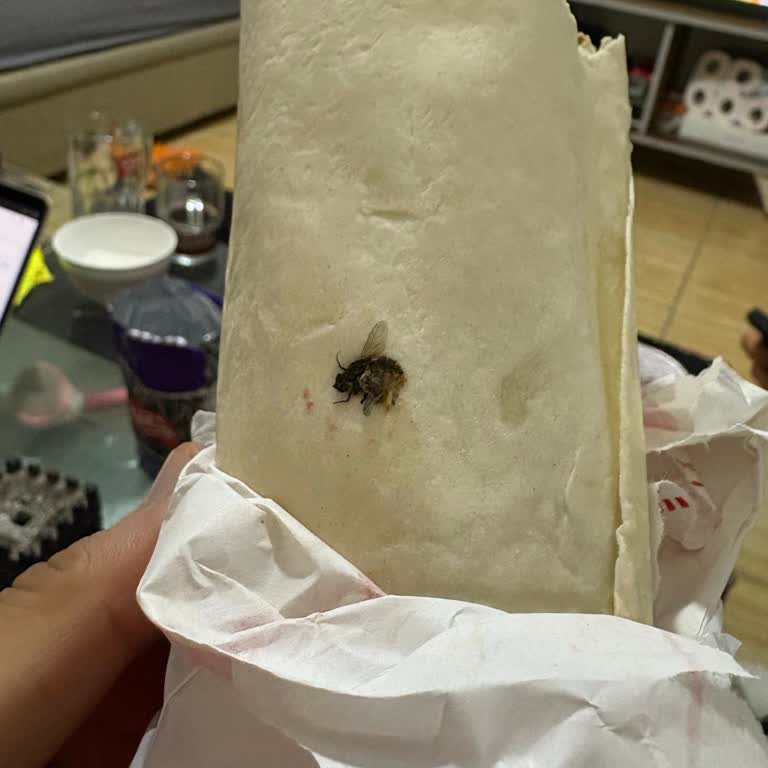 Siparişimde Ölmüş Sinek Çıktı, Yetersiz Müşteri İlgisi Ve Hayal Kırıklığı