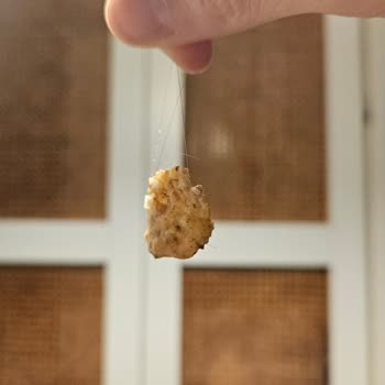 Nestle Nesfit Ürününden Saç Çıkmasıyla Yaşadığım Şok Ve Güven Kaybı