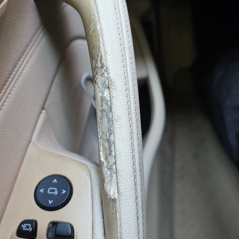 BMW 5.20i Kapı Kollarında Erime Sorunu Nedeniyle Ücretsiz Değişim Talebi