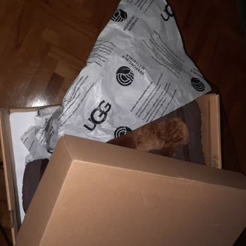 Kargom Başkasına Teslim Edildi, Müşteri Hizmetlerine Ulaşamıyorum