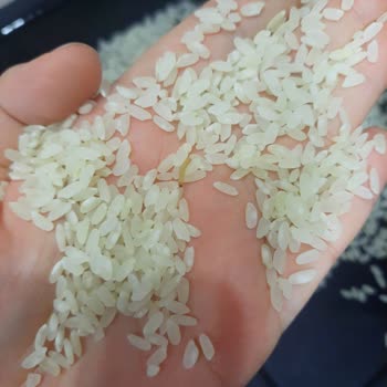 Kapalı Paketlerde Kurtlanan Ürünler Ve İlgisiz Müşteri Hizmetleri