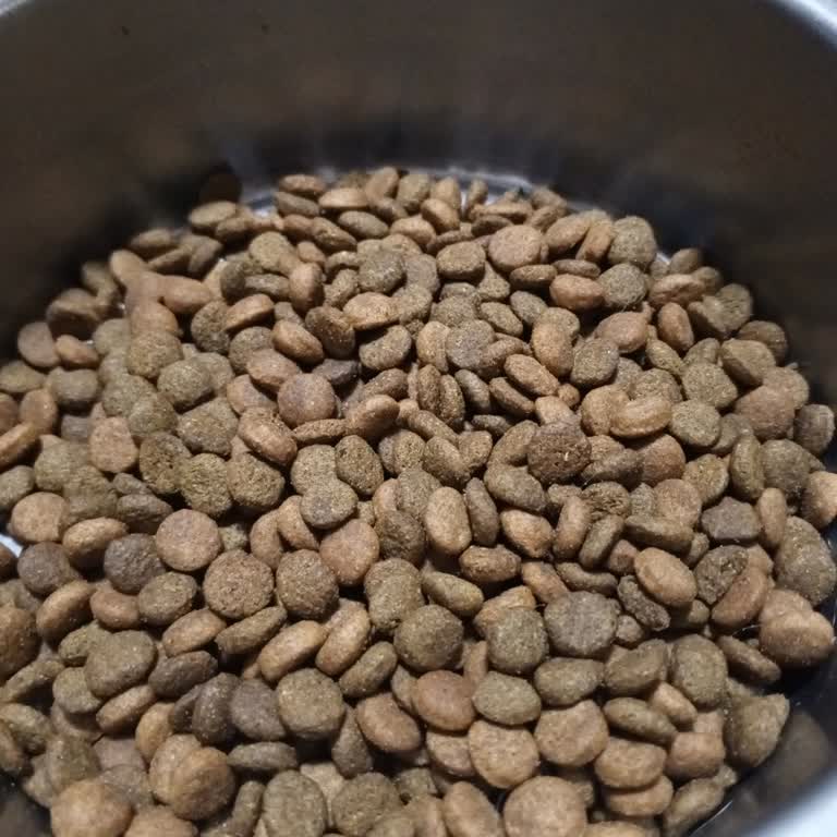 Satın Aldığım Kedi Maması Orijinal Değil, İade Talebim Reddedildi