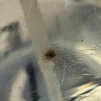 Küflü Damacana Su Ve Hijyen Sorunu: Sağlığım Tehlikeye Girdi