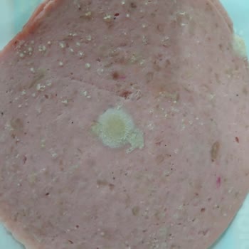 Tarihi Geçmemiş Salamda Küf Ve Kötü Koku İle Karşılaştım