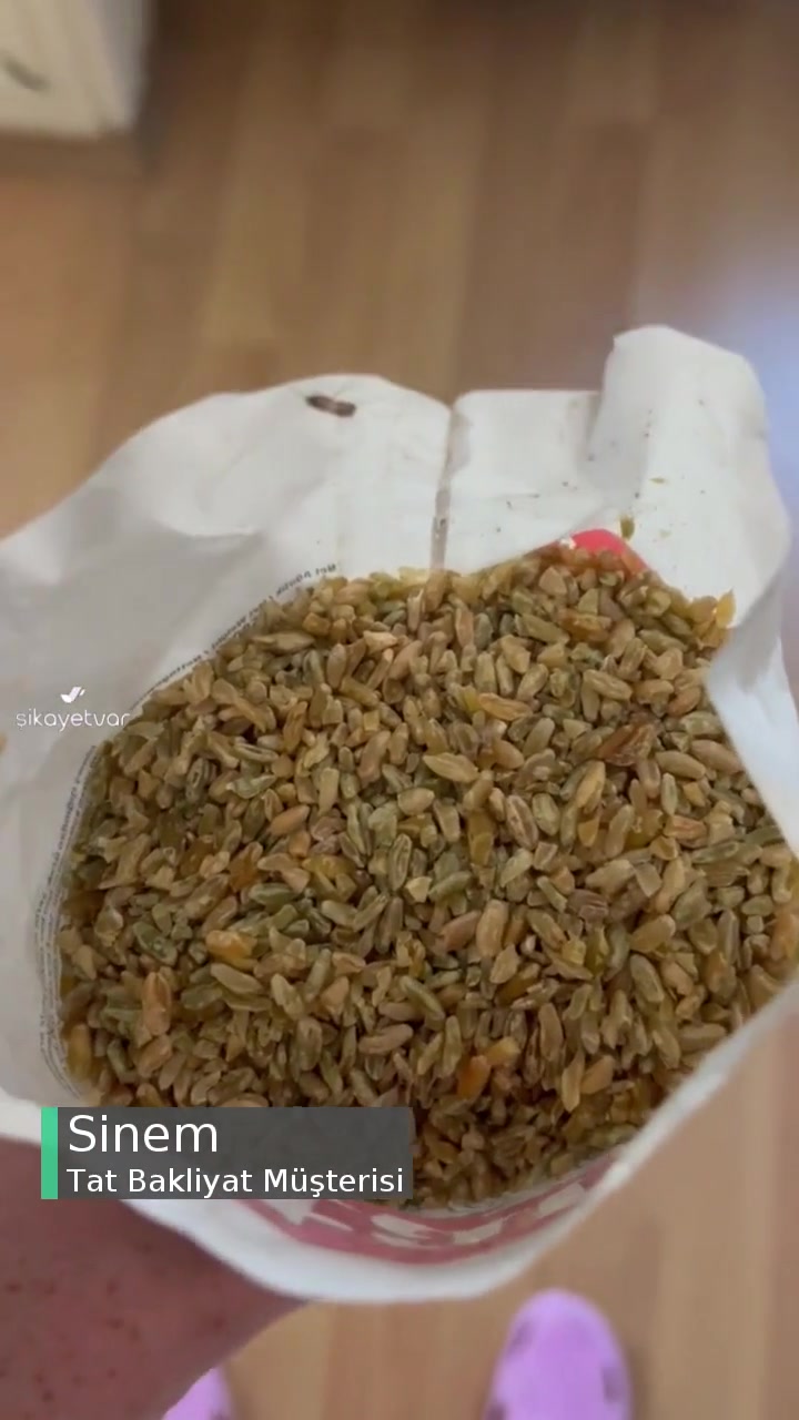 Tat Firik Bulgur İçerisinden Güve Ve Kelebek Çıktı videonun kapak resmi